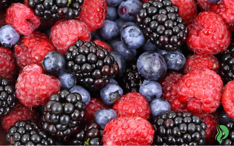 Les 10 aliments pour prévenir la chute des cheveux et favoriser leur repousse